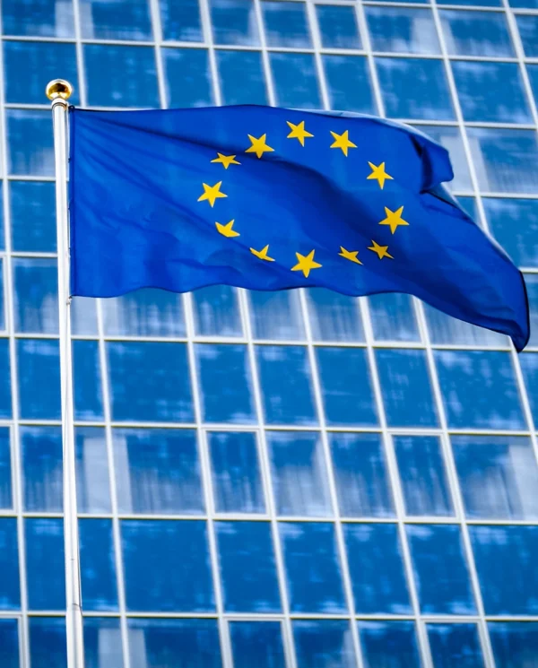 MÓDULO D - Proyectos Subvencionables y Programas Europeos